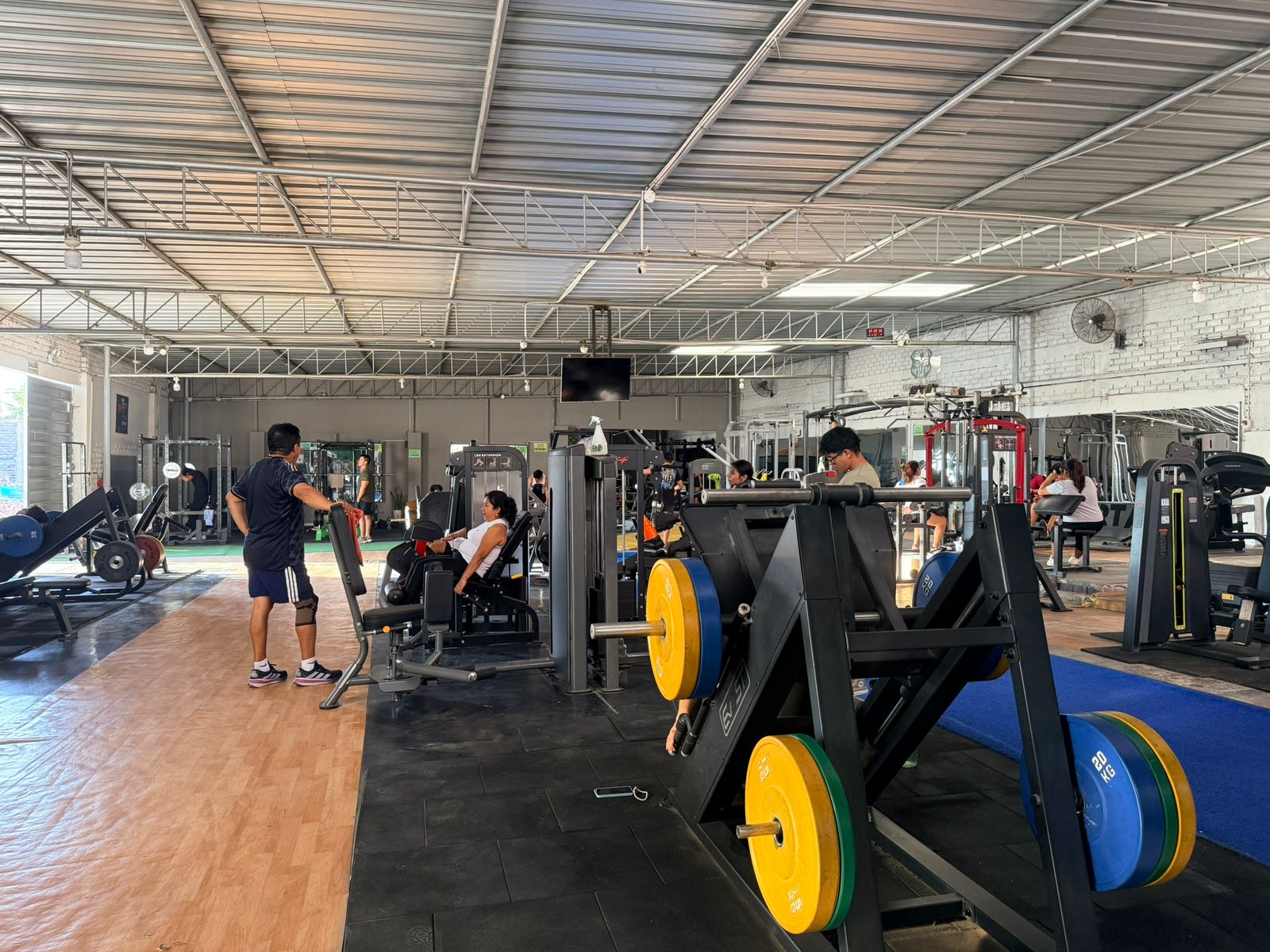 Sparta Gym Paita